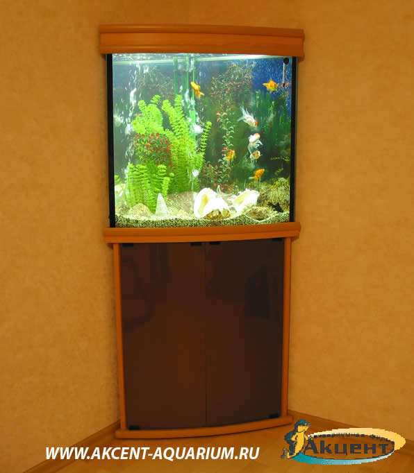 Акцент-аквариум,аквариум угловой 100 литров 